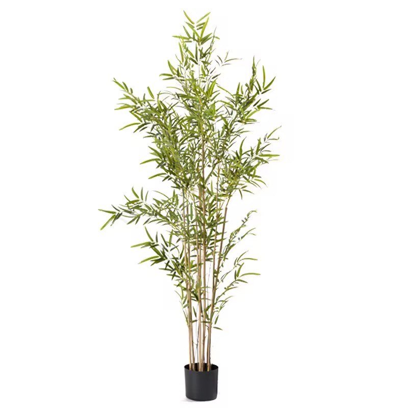 Afloraa: Bamboo poles and clusters