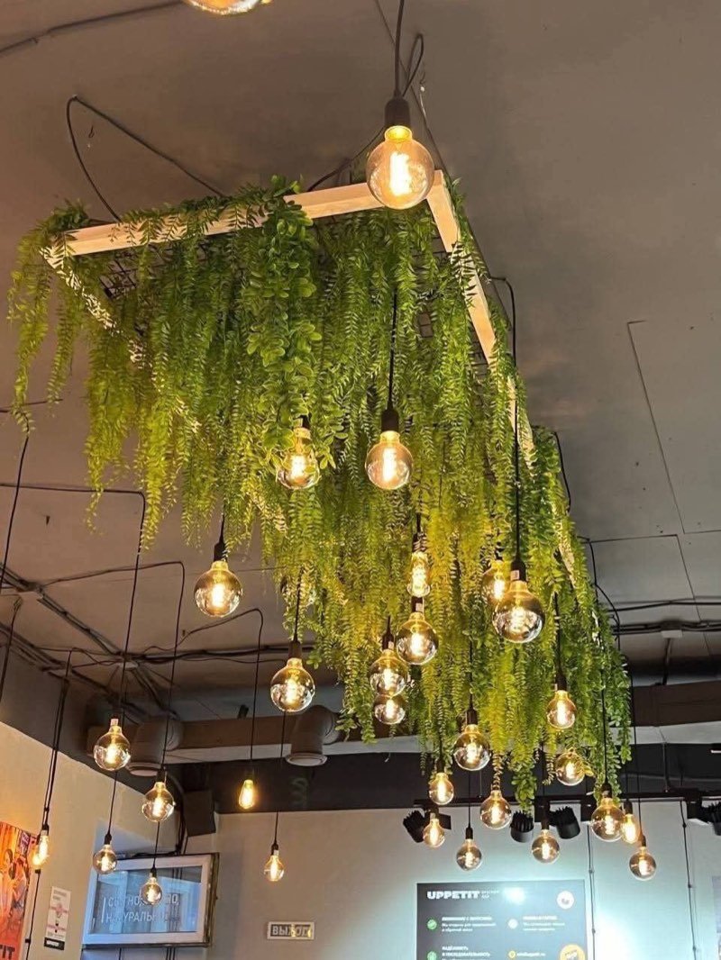 Afloraa: Ceiling Ferns Bulbs