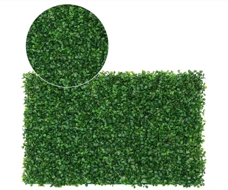 Afloraa: Hanging and trailing plants
