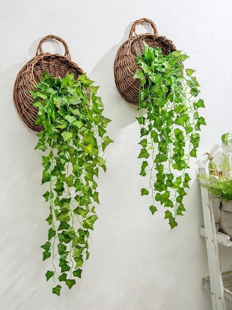Afloraa: Ceiling and overhead greenery