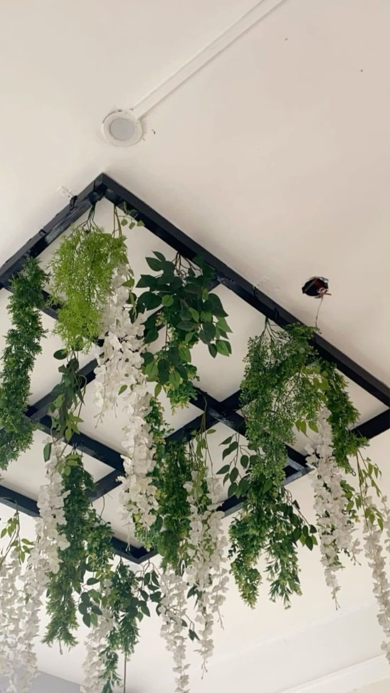 Afloraa: Nv Hanging 13
