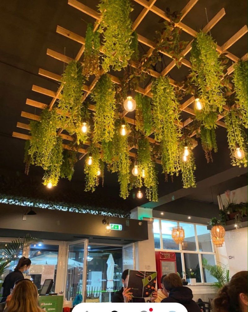 Afloraa: Facade and boundary greening