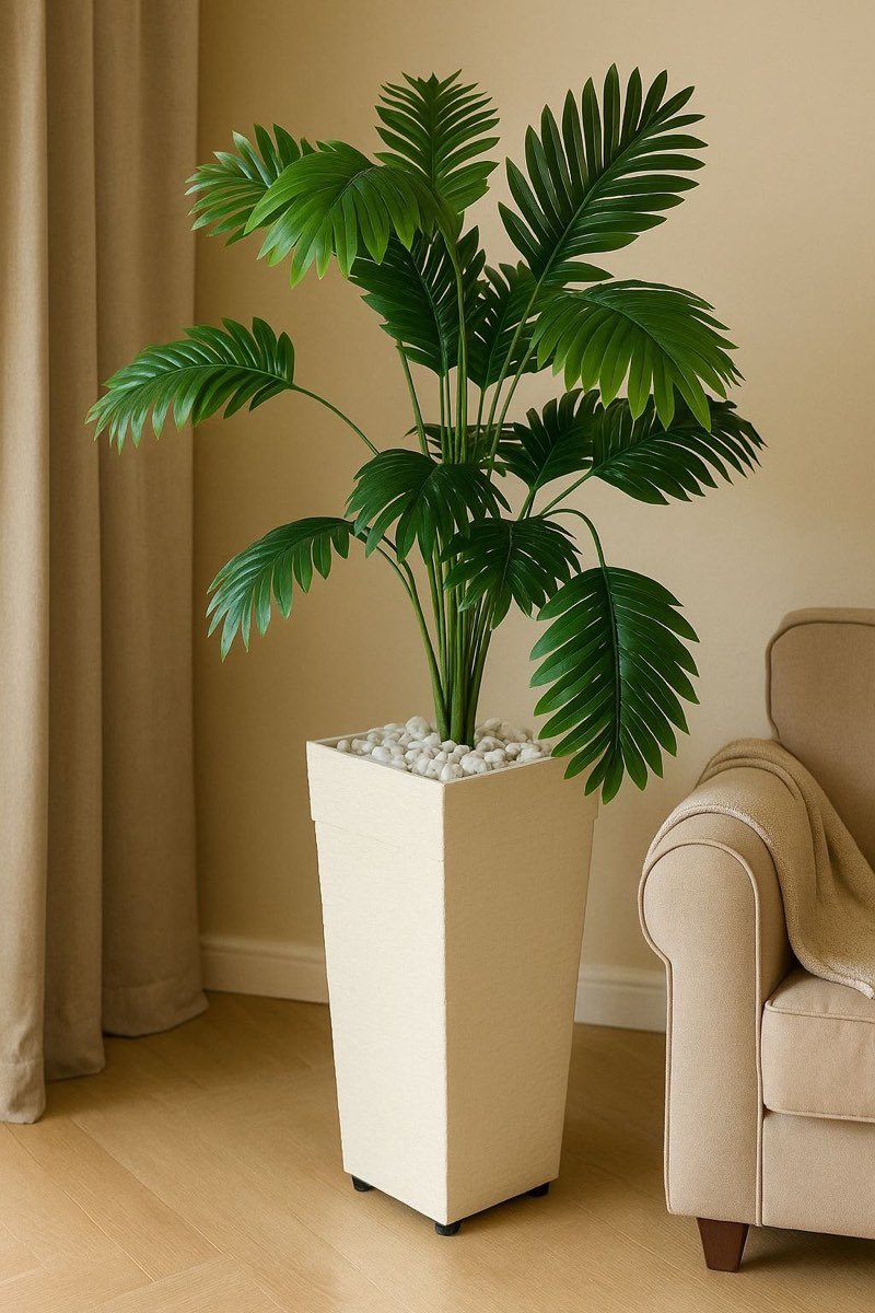 Afloraa: Nv Plant 06