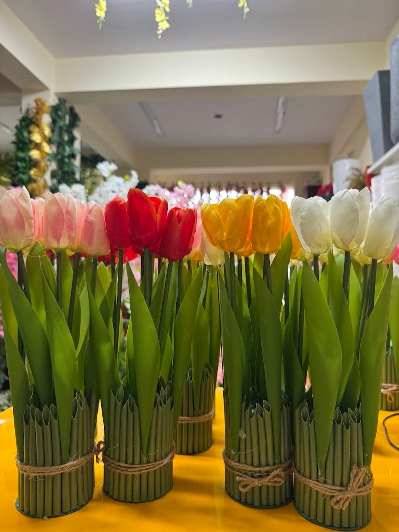 Afloraa: Tulips Stems